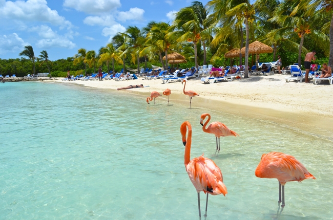 ARUBA en Julio 2026