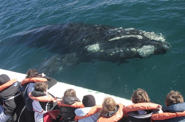 Puerto Madryn... vamos a ver las ballenas!